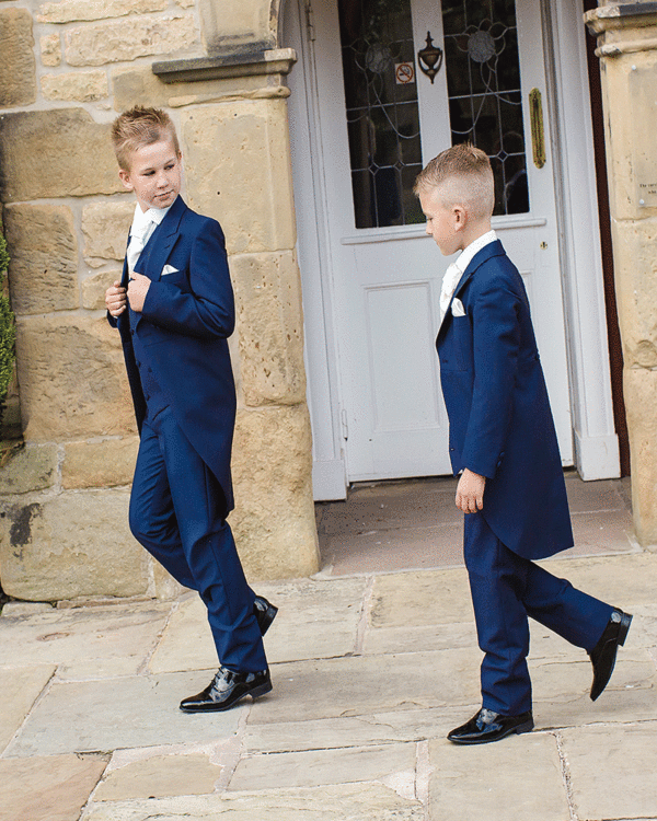 To Hire, Boys Wilvorst French Blue Tail Suit (full outfit) - Image 2